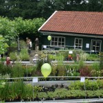 Natuurmarkt 2010