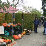 Oogstdag en Fruitshow 13-10-12
