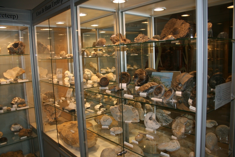 vitrine in IJstijdenmuseum