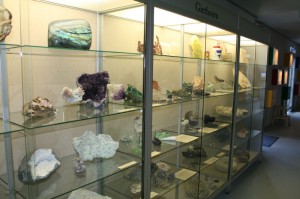 vitrine in het IJstijdenmuseum