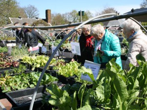 13 Druk in de verkooptuin