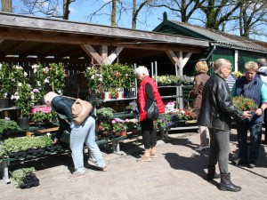 5 Hanging baskets en eenjarigen