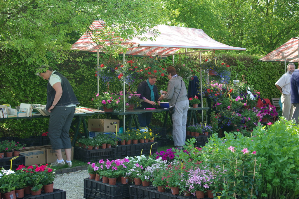 Koningsmarkt in de verkooptuin