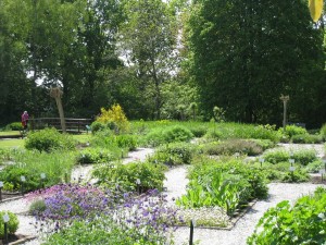 8 maart verkooptuin De Kruidhof open