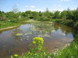 picknicken in de Heemtuin