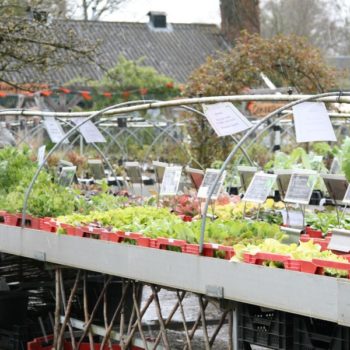 Koningsdag 2016 De Kruidhof