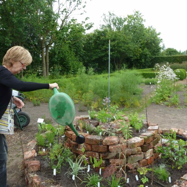 Workshop Kruidenspiraal aanleggen