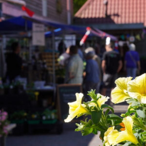 Woensdag 6 augustus 2025 Natuurmarkt op de Kruidhof
