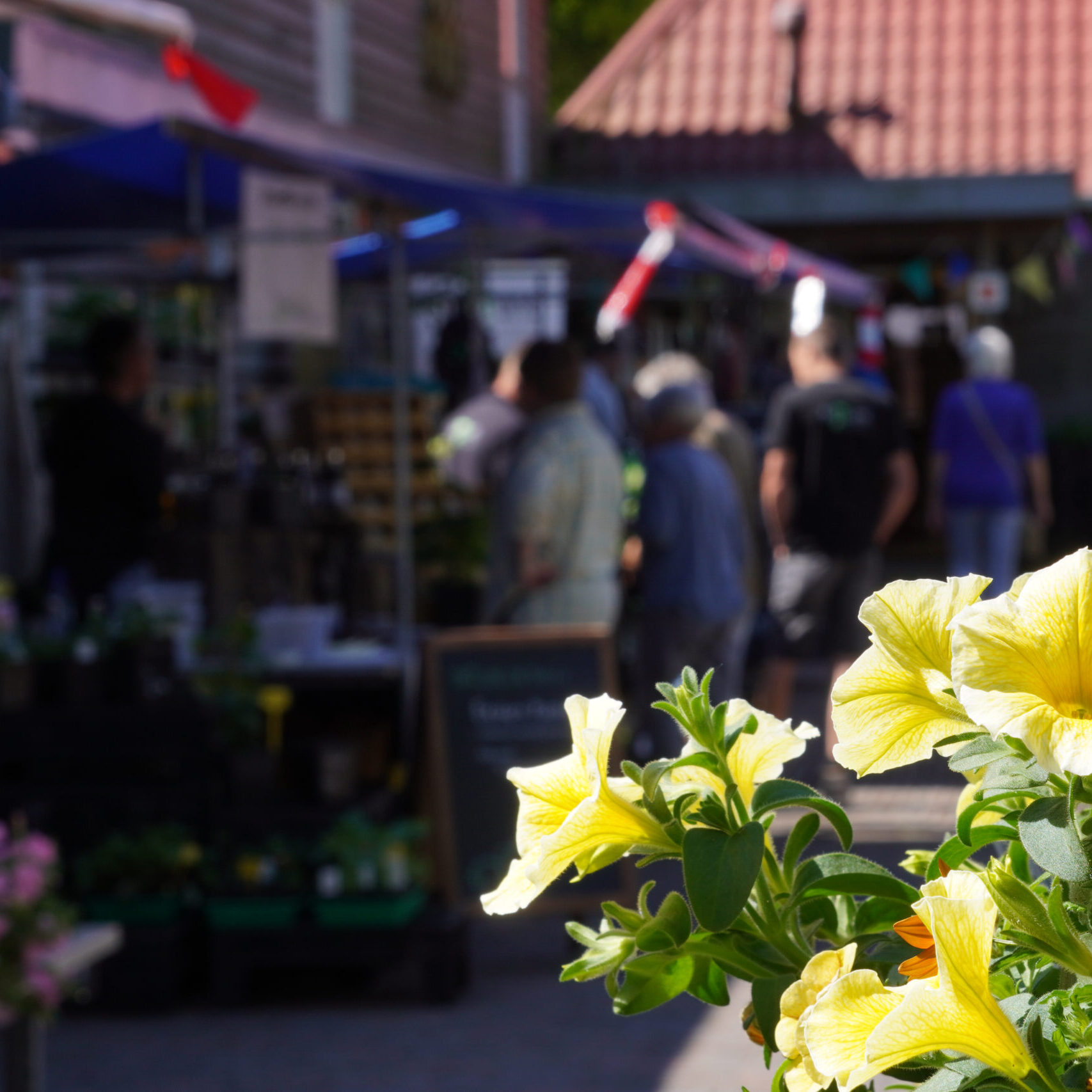 Natuurmarkt