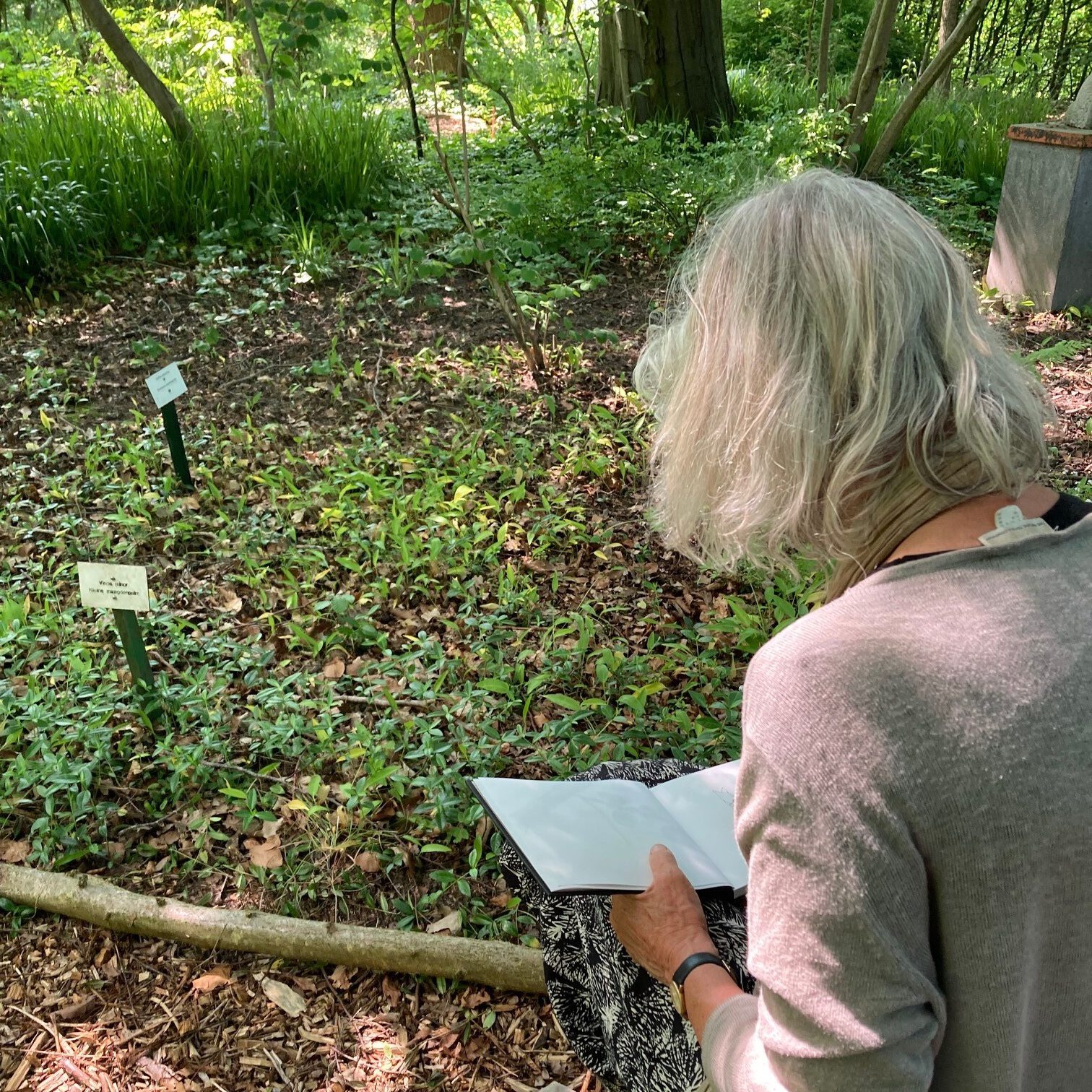 Workshop botanisch tekenen | Hennie Dijk-Stel