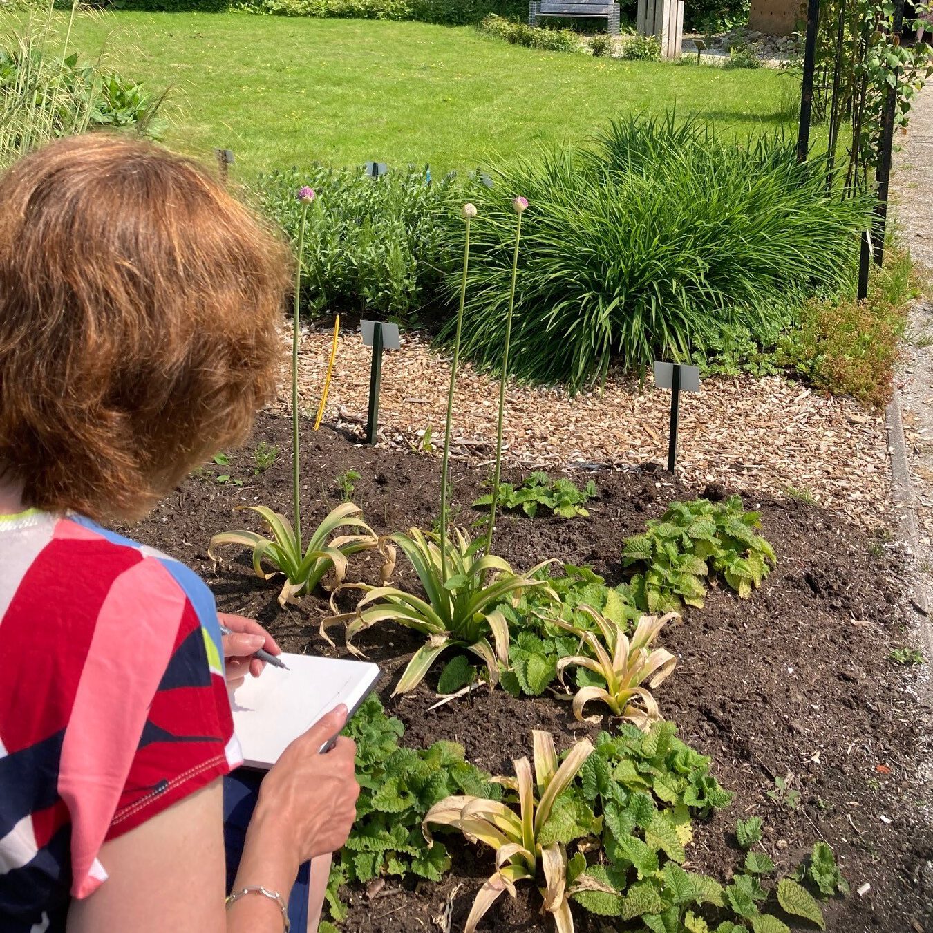 Botanische teken- en wandeltocht | Hennie Dijk-Stel