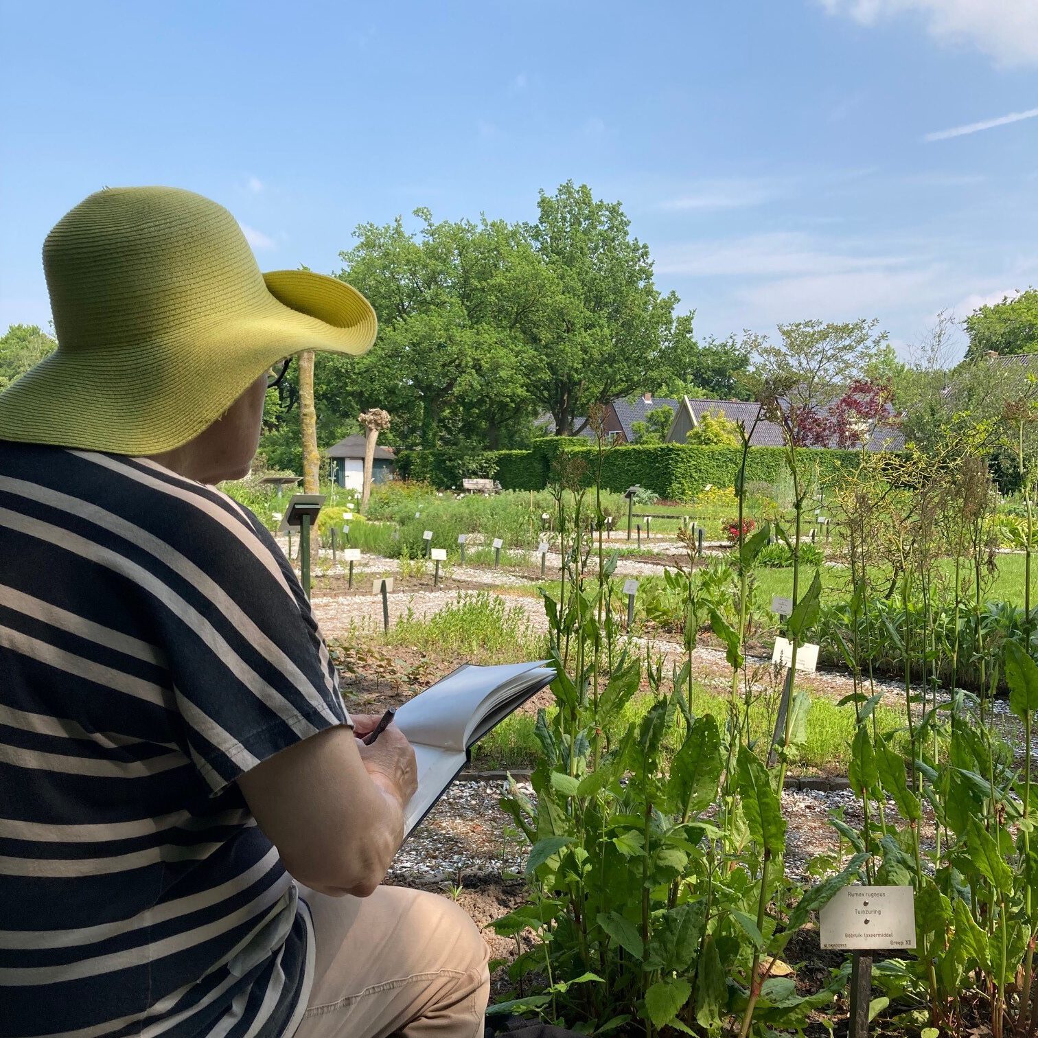 Botanische teken- en wandeltocht | Hennie Dijk-Stel
