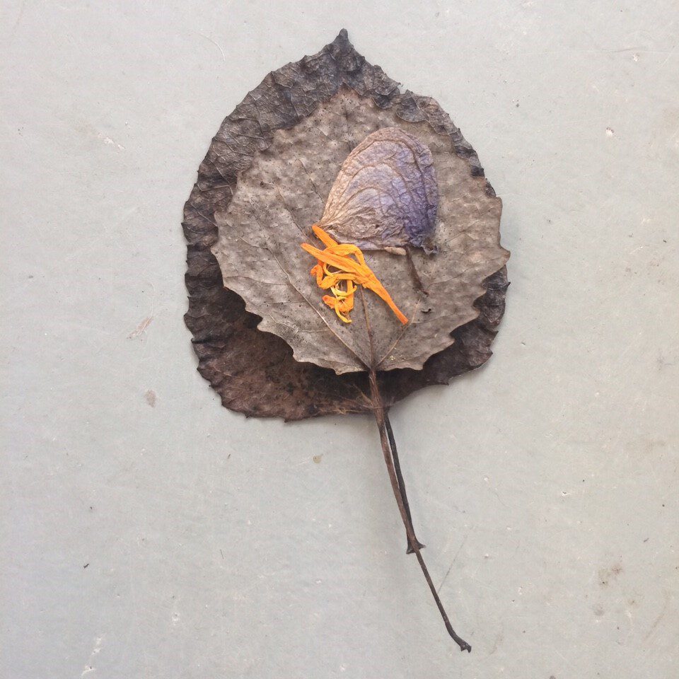 Creatieve inspiratiedag | Suzan Bosch