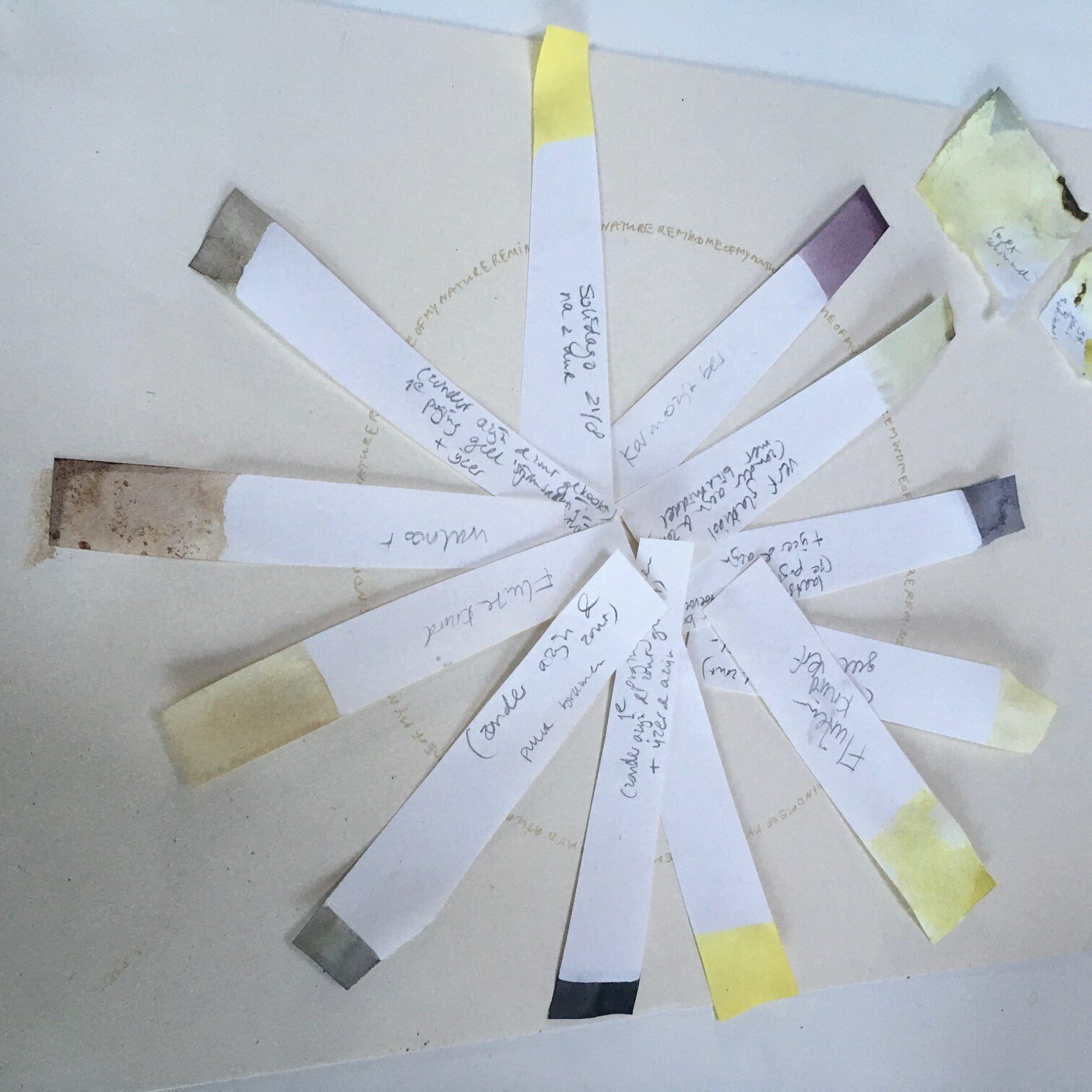 Workshop Natuurlijke inkt maken | Suzan Bosch