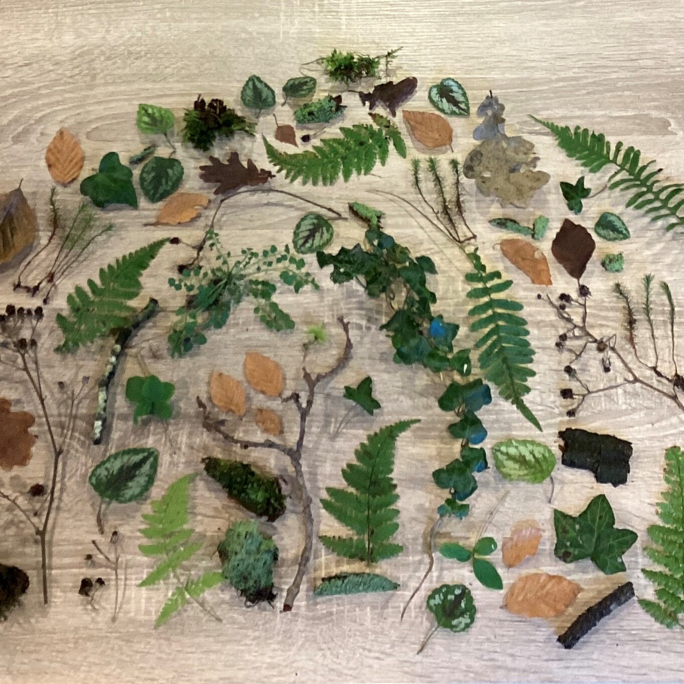 Eco Creatieve Loopbaanworkshop | Suzan Bosch