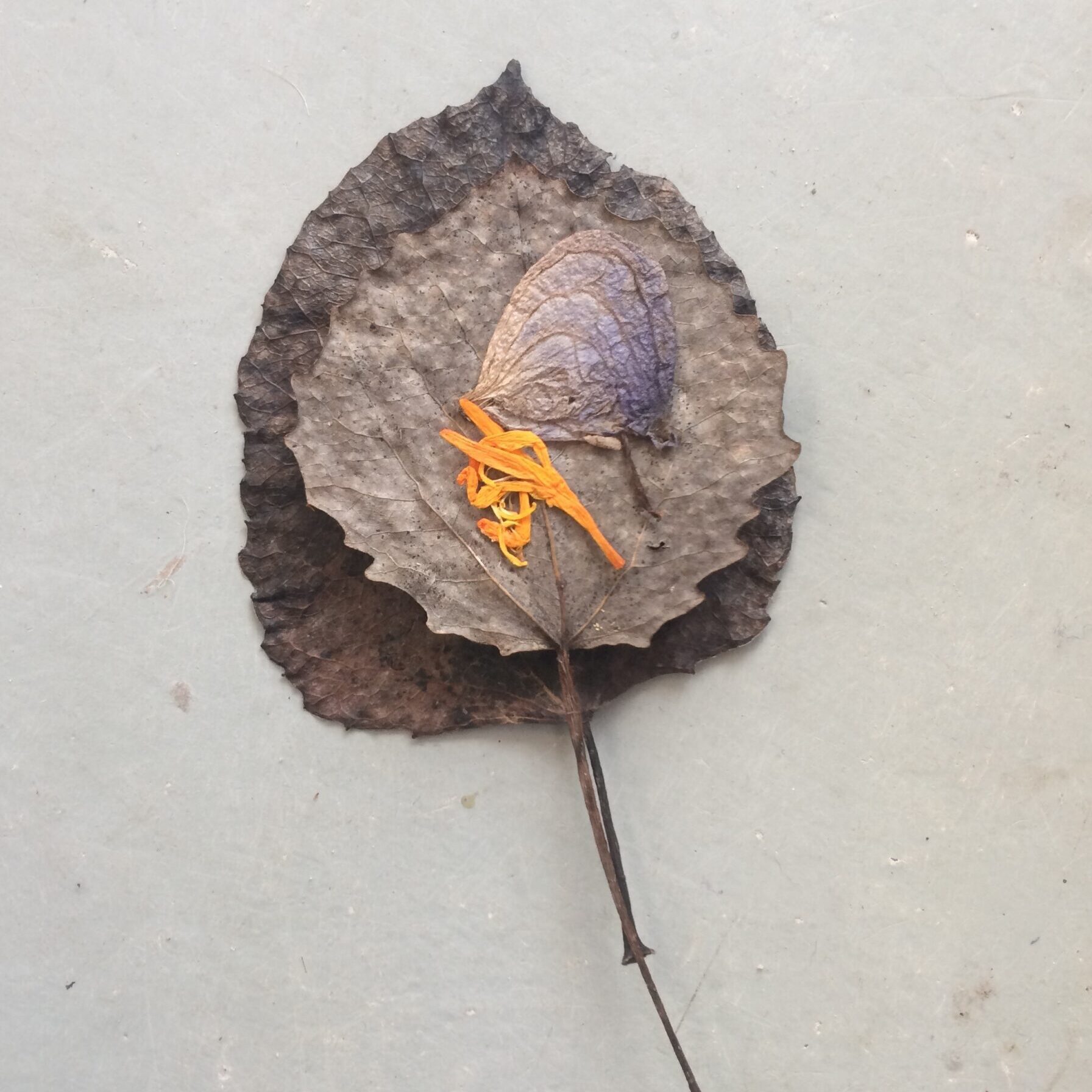 Eco creatieve workshop | Suzan Bosch