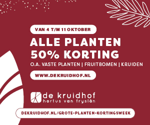 Van 4 t/m 11 okt 2025: 50% korting op alle planten bij De Kruidhof! Van vaste planten tot fruitbomen en kruiden. Zolang de voorraad strekt.