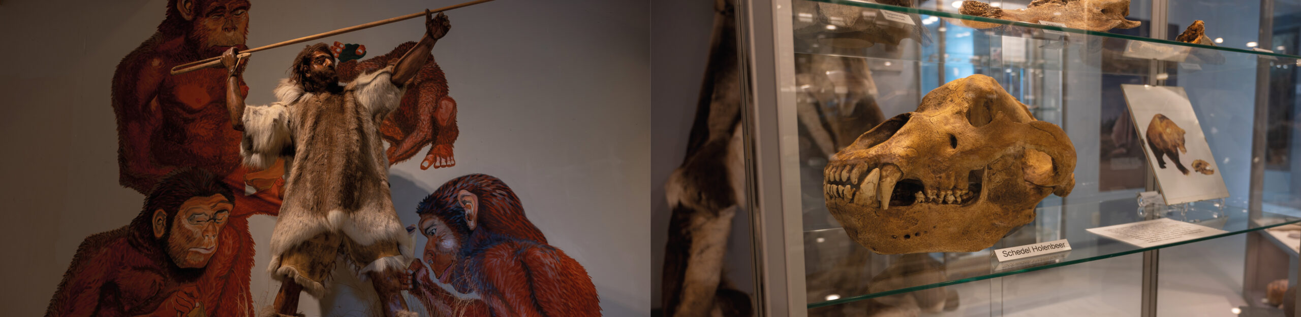 Het IJstijdenmuseum in Buitenpost