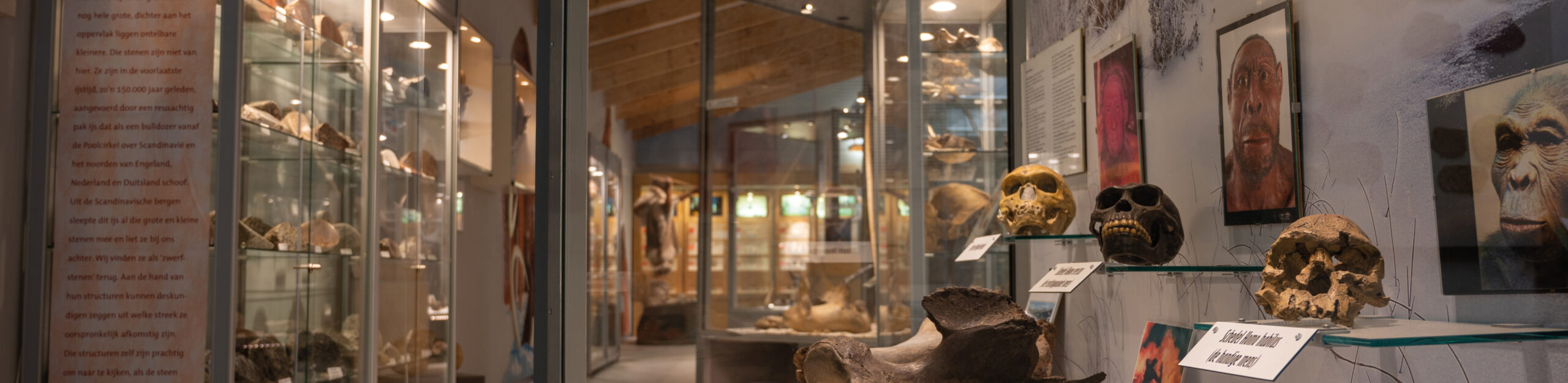 IJstijdenmuseum In het IJstijdenmuseum in Buitenpost wordt het boeiende verhaal verteld over de twee laatste ijstijden die een grote rol hebben gespeeld bij de vorming van het landschap in Noord-Nederland en die van Noord-Oost Friesland in het bijzonder.