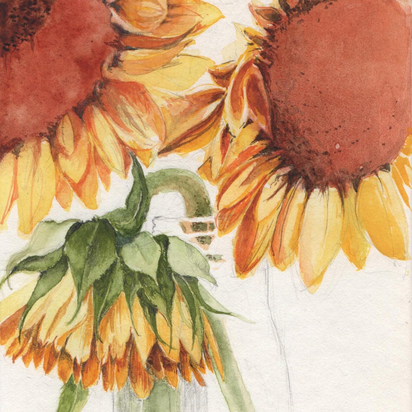 Workshop Botanisch Tekenen | Hennie Dijk-Stel