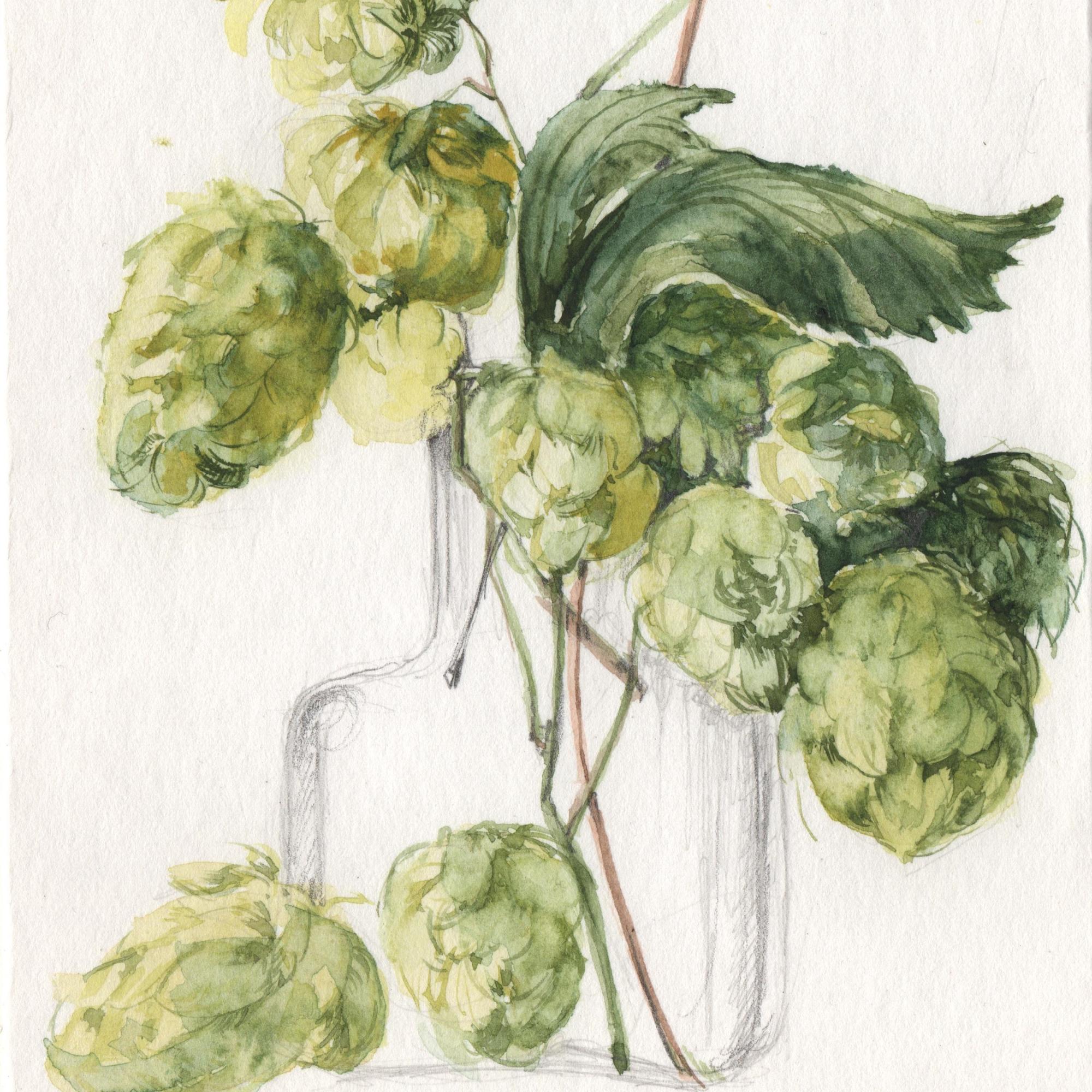 Workshop Botanisch Tekenen | Hennie Dijk-Stel